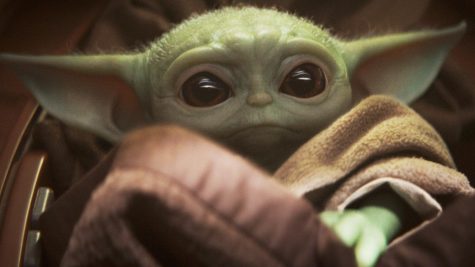 Baby Yoda Takes the Galaxy (and LHS) By Storm (SPOILER ALERT)
